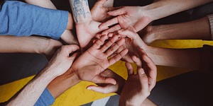 Como fomentar el compañerismo entre empleados